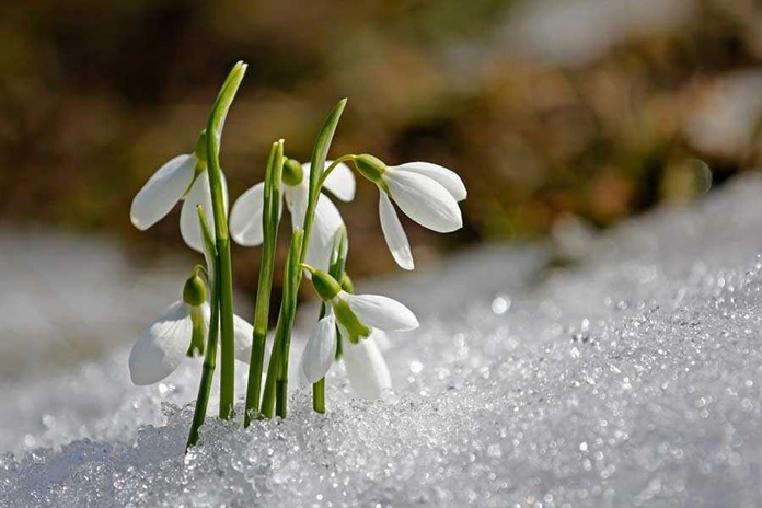 Kovo 5 d. kritulių tikimybė nedidelė, temperatūra dieną 0–5 laipsniai šilumos