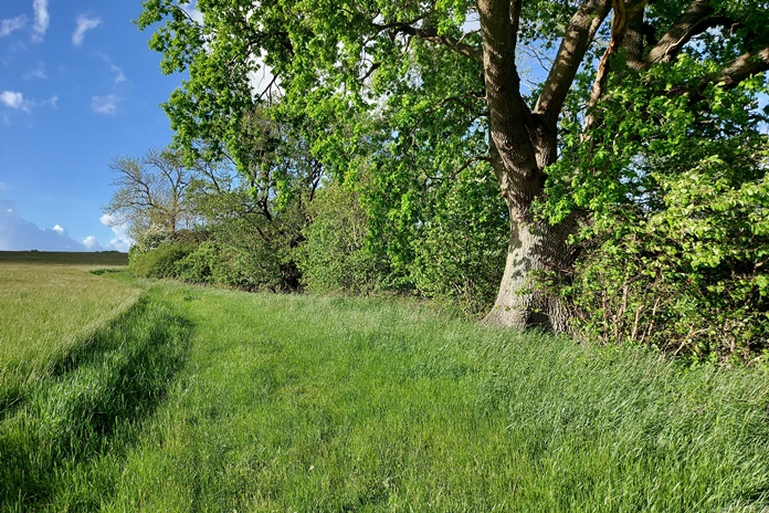 Orai šiandienai ir likusiai savaitei