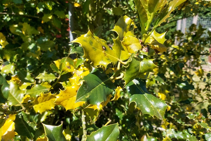 Šiandien aukščiausia temperatūra 20–25 laipsniai šilumos