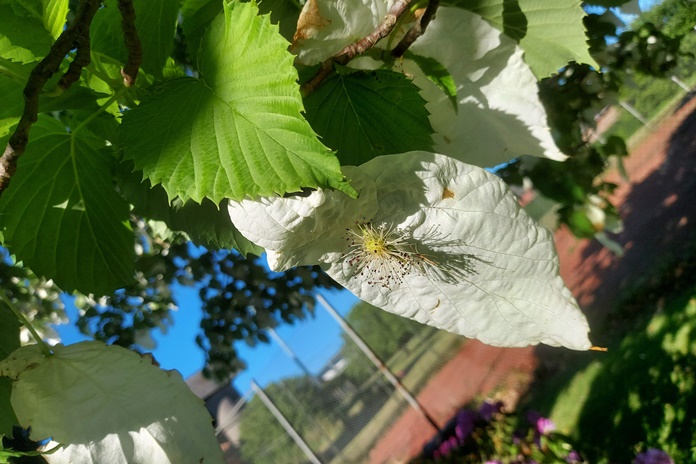 Šiandien aukščiausia temperatūra 18–23 laipsniai šilumos