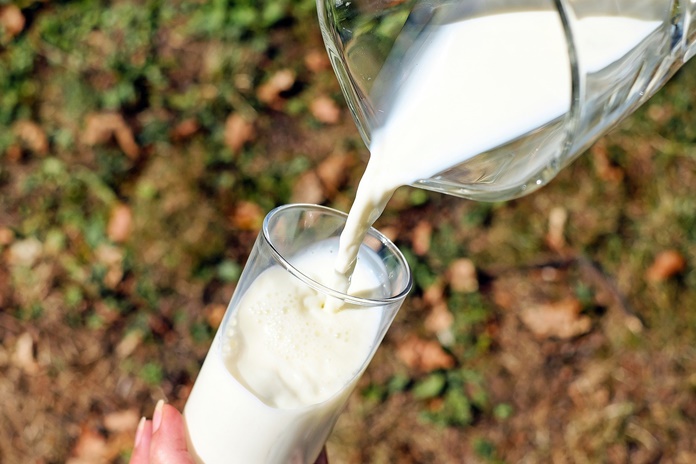Pieno supirkimo kaina toliau kyla virš 0,47 euro už litrą