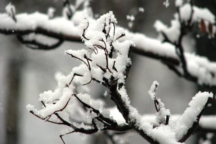 ORAI: Ketvirtadienio dieną krituliai, vyraus nedidelis sniegas