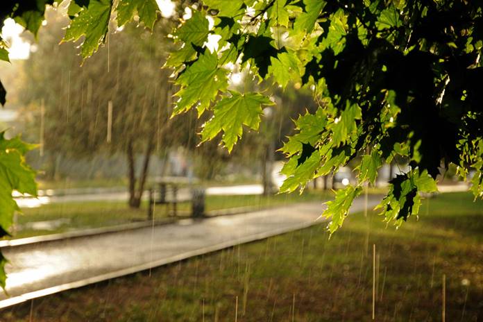 ORAI: Trečiadienio dieną daugelyje rajonų trumpi lietūs, kai kur smarkūs